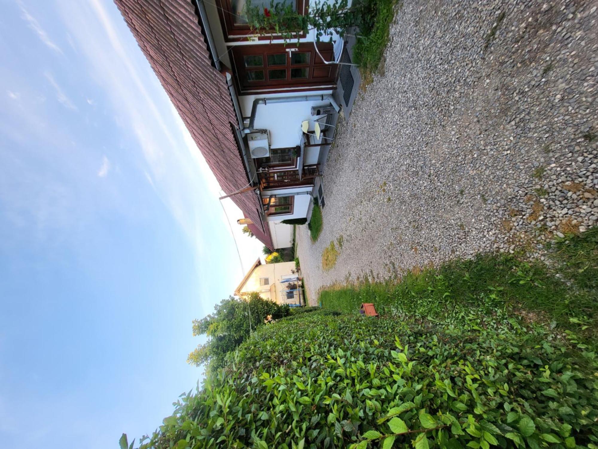 Hotel Betty Panzio Miercurea Ciuc Esterno foto