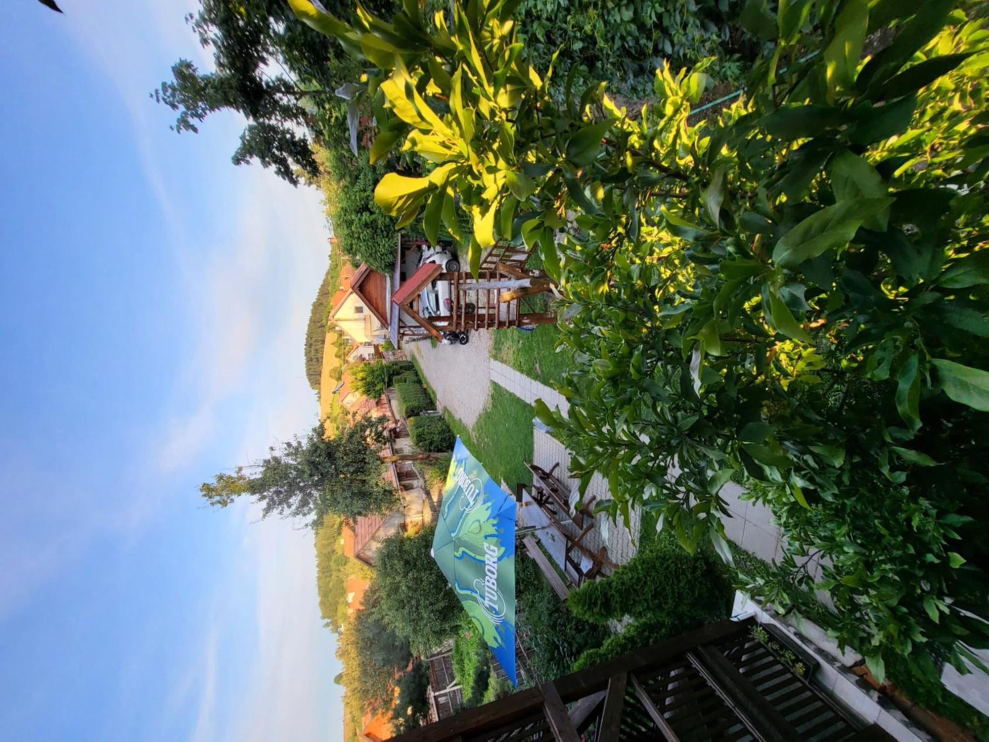 Hotel Betty Panzio Miercurea Ciuc Esterno foto
